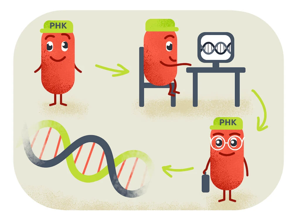 Молекулярная генетика — Введение и основы