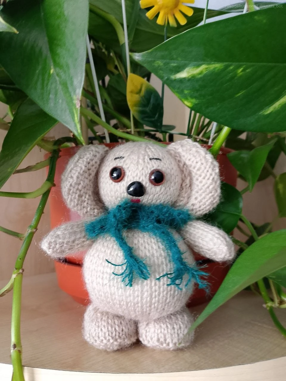 Коала в шарфике 🐨