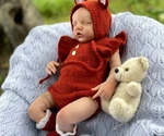Little Fox for Baby 🦊