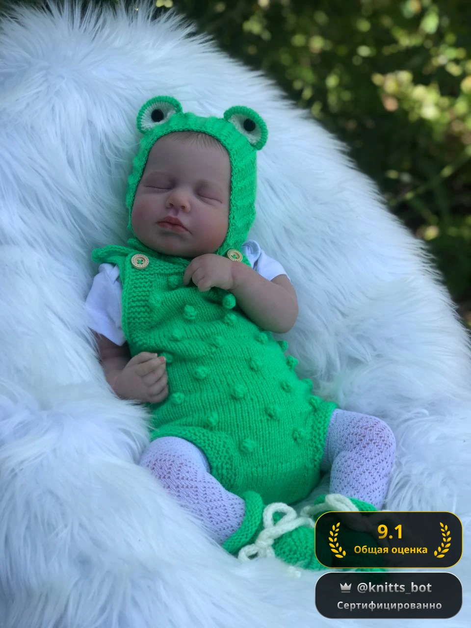 Лягушонок-соня 🐸