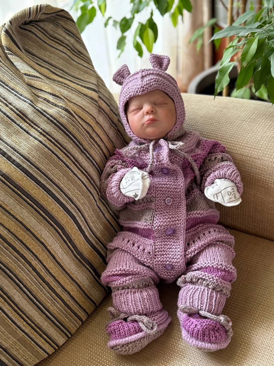 Powdered Teddy 🐻