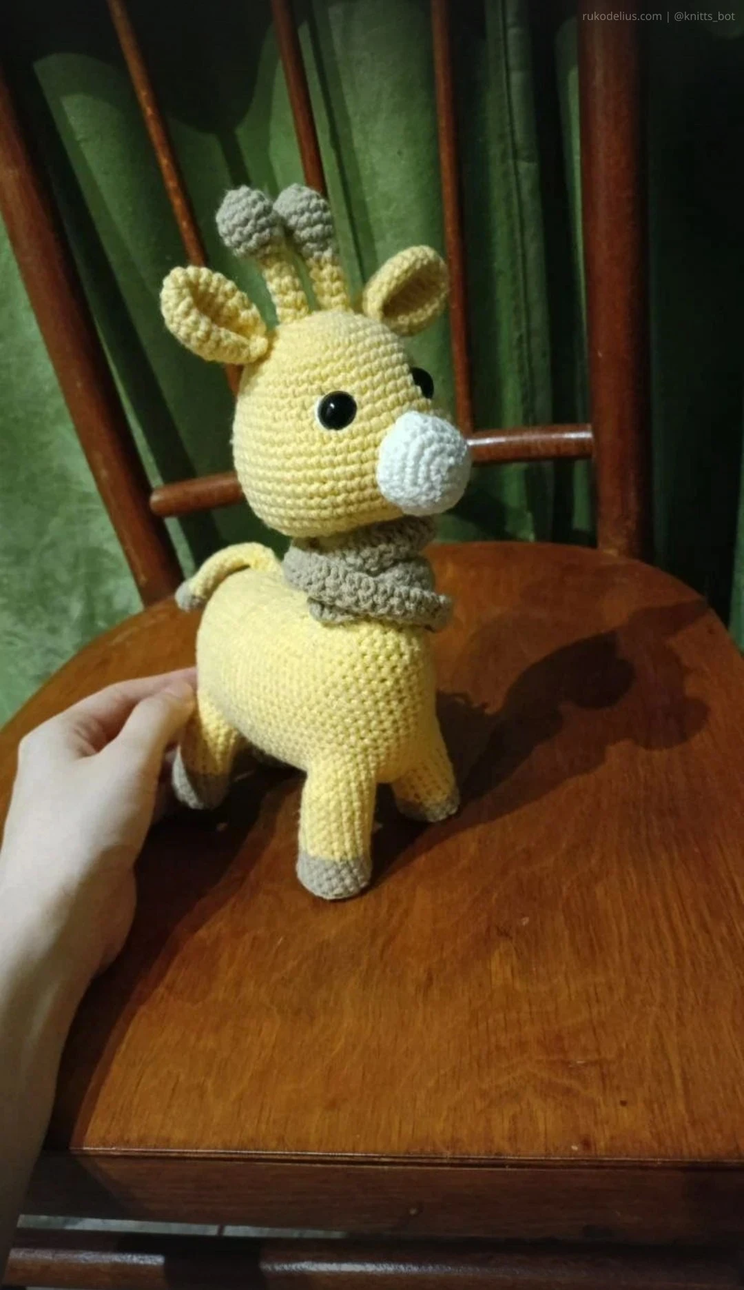 Sunny Giraffe Zhuja 🦒
