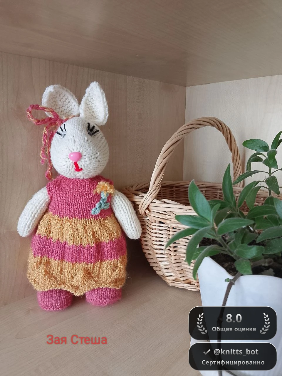 Зайка в Полоску 🐰