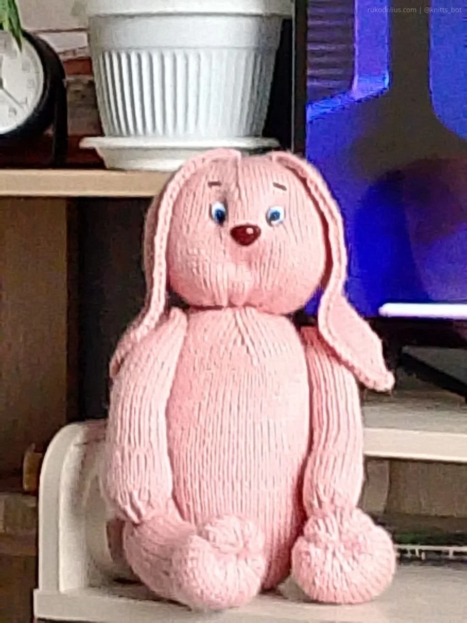 Marshmallow Eared Bunny 🐰